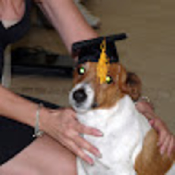 Meet your Posher, Lisa - Picture 1 of 1